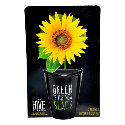 Green is the New Black Sunflower Grow Kit | Painted pot + Growing medium + Seeds