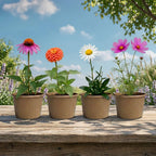 Save The Bees Grow Kit | Paper cup + Growing medium + Seeds