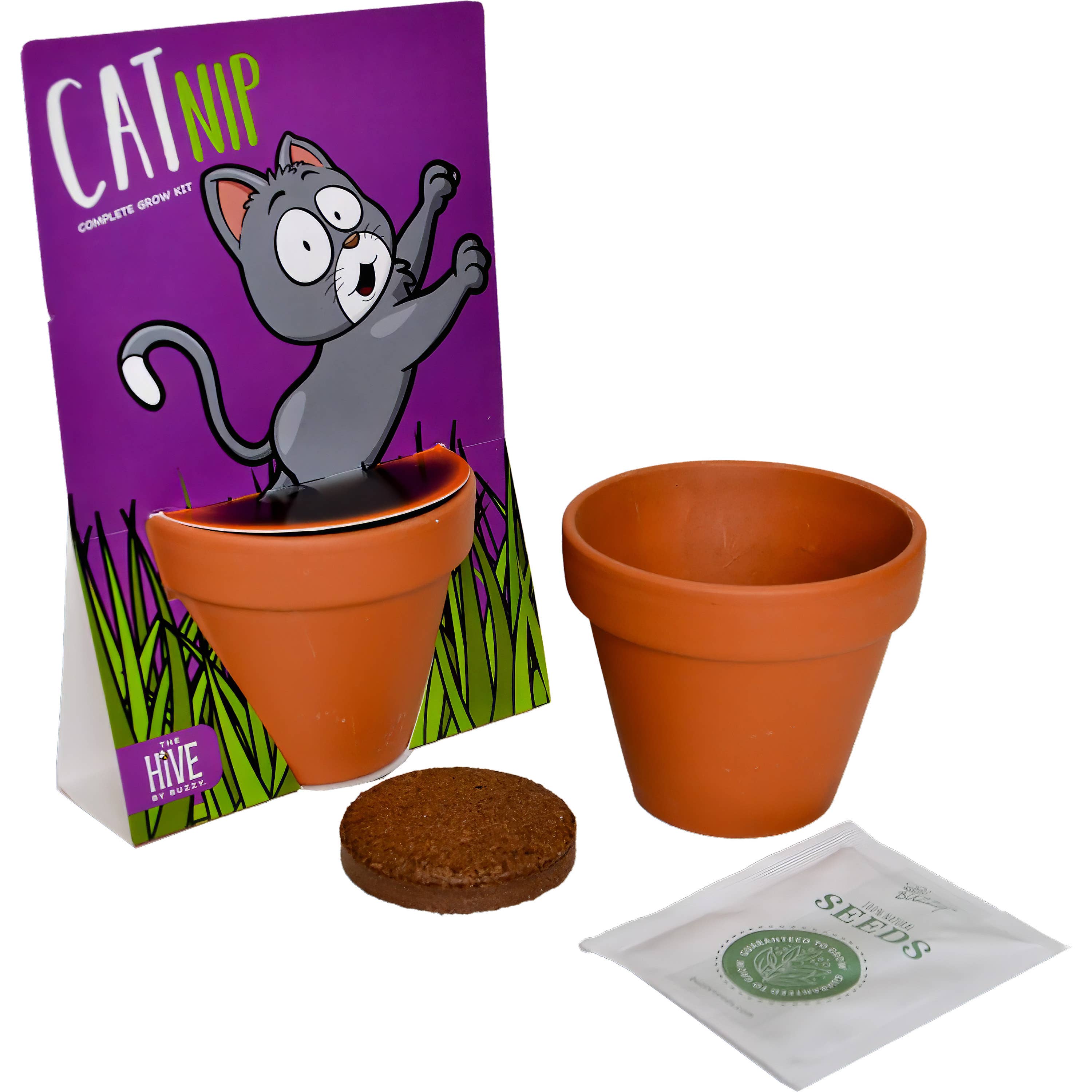 Cat Nip Grow Kit | Pot + Growing medium + Seeds