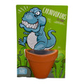 Carnivorous Pitcher Plant Grow Kit | Pot + Growing medium + Seeds