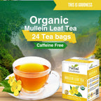 A cup of caffeine-free herbal tea sits next to a box labeled Herbal Goodness Mullein Leaf Tea - Organic Tea Bags (24 Count) by Herbal Goodness, set against a peaceful background of trees and mountains.