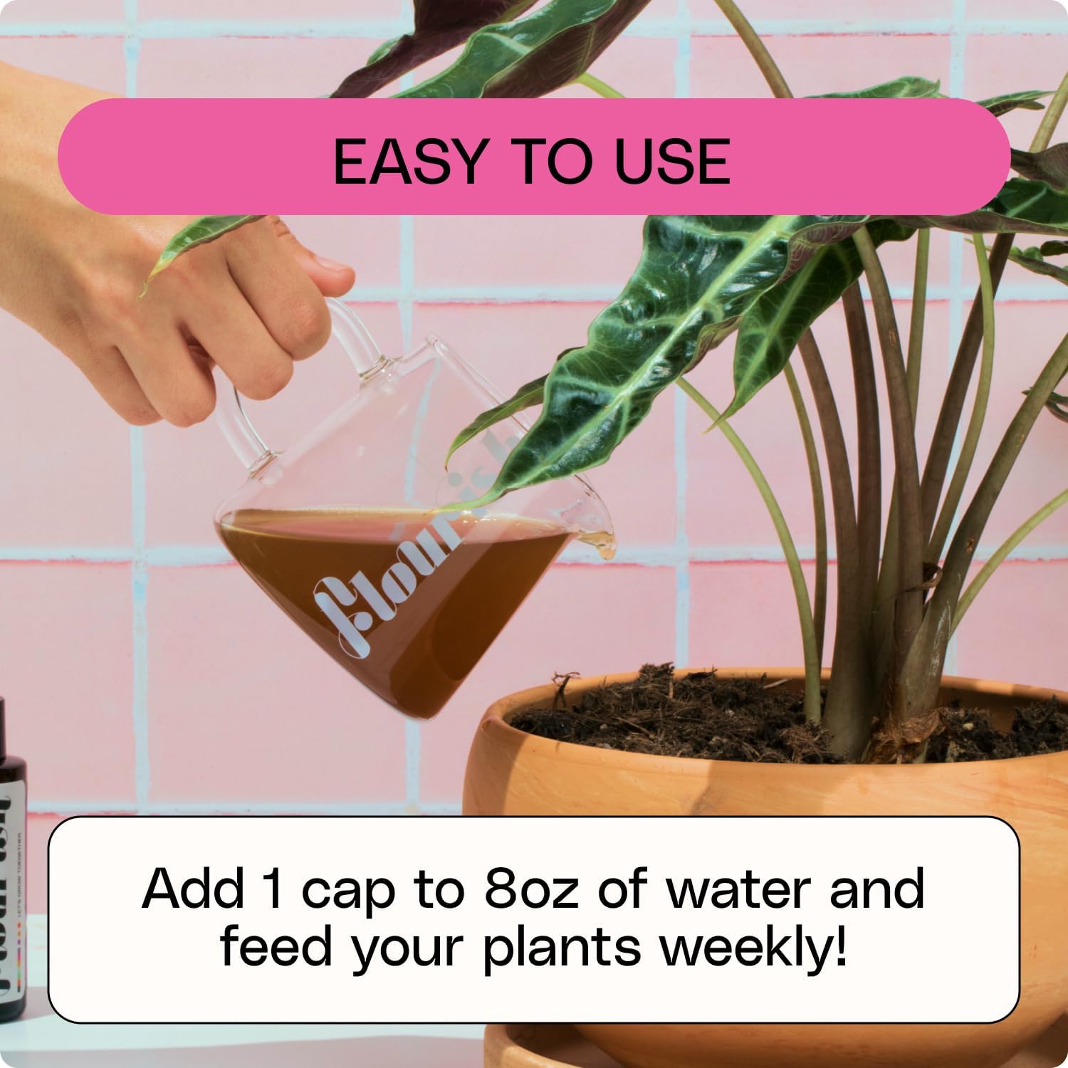A hand pours brown liquid labeled Flourish Organic All-Purpose Plant Food by Flourish into a potted plant. Text reads EASY TO USE, with instructions: Add 1 cap to 8oz water and feed plants weekly.