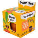 Banana Plant Grow Kit | Growing medium + Pot + Seeds