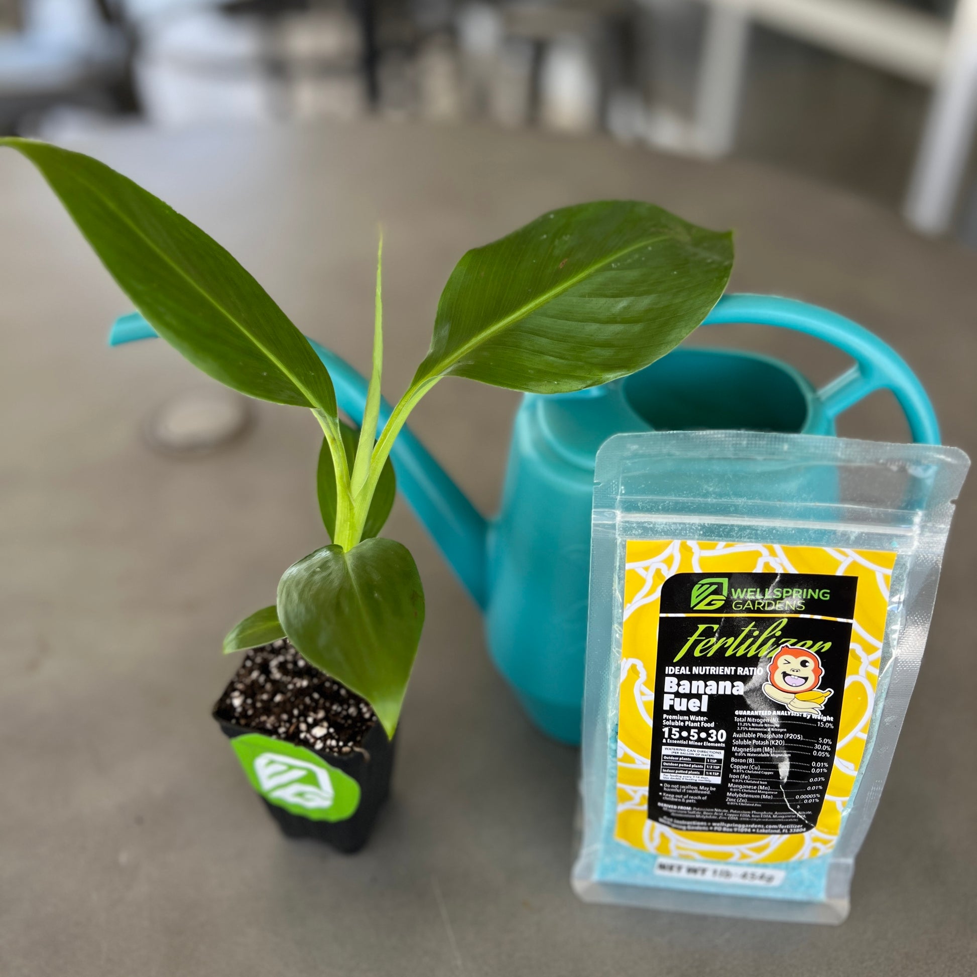 Banana Fuel Plant Fertilizer - Water-Soluble 15-5-30 Blend - (1 or 2 LB bag)