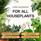 Flourish Organic All-Purpose Plant Food by Flourish is surrounded by potted houseplants and the text, “Vital plant nutrients FOR ALL HOUSEPLANTS.” Buttons highlight: Vigorous Growth, Lush Leaves, Revitalized Soil, Stronger Roots.