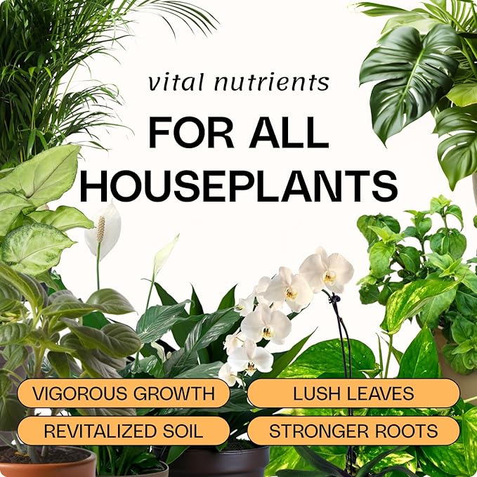 Flourish Organic All-Purpose Plant Food by Flourish is surrounded by potted houseplants and the text, “Vital plant nutrients FOR ALL HOUSEPLANTS.” Buttons highlight: Vigorous Growth, Lush Leaves, Revitalized Soil, Stronger Roots.