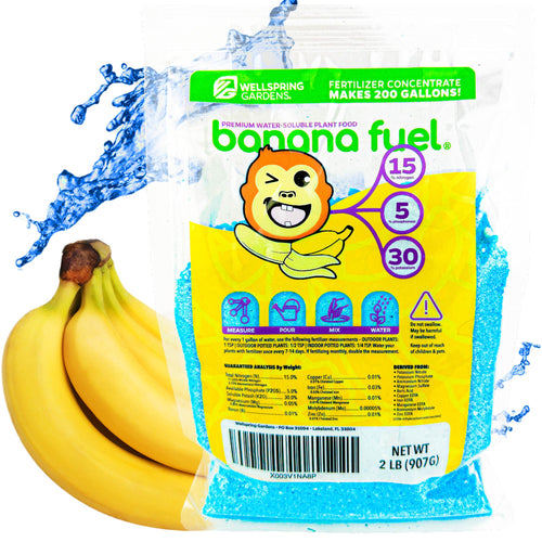 A bag of Wellspring Gardens’ Banana Fuel Plant Fertilizer (15-5-30, water-soluble, 1 or 2 lb) features blue crystals, a cartoon banana mascot, and bananas. The package notes it makes 200 gallons of concentrate.