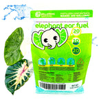 A bright green Wellspring Gardens Elephant Ear Fuel Plant Fertilizer (Water-Soluble 20-10-20, 1 or 2 LB bag) is shown with a cartoon elephant logo, splashes of blue water, and two large Colocasia and Alocasia leaves.
