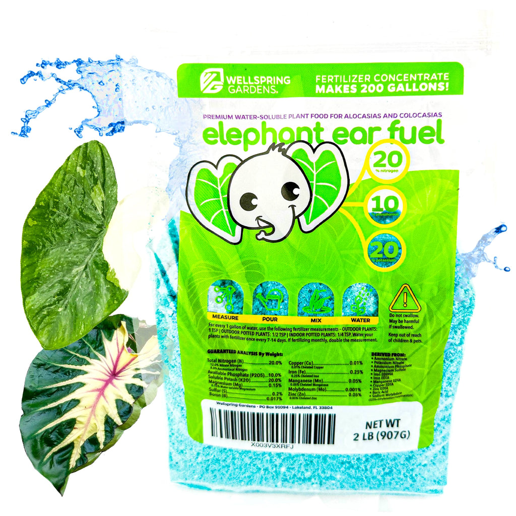Elephant Ear Fuel Plant Fertilizer - Water-Soluble 20-10-20 - (1 or 2 LB bag)