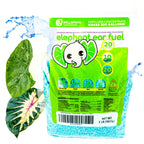 Wellspring Gardens’ Elephant Ear Fuel Plant Fertilizer, a water-soluble 20-10-20 formula, comes in a 2 LB bag for Colocasias or Alocasias. The vibrant bag displays a cartoon elephant logo, green/blue text, leafy graphics, and blue granules.