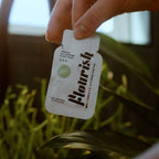 A hand holds a packet from the Flourish Organic All-Purpose Plant Food (5 Packets) above green indoor plants, sunlight streaming in. These organic, water-soluble packets by Flourish deliver essential nutrients for healthy plant growth.
