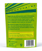 The back of the Lost Pines Yaupon Tea Bags (16) box highlights yaupon tea benefits, brewing tips, ingredients, a social media handle, company info, barcode, and features blue stripes on the top left for a vibrant design.