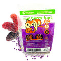 The Wellspring Gardens Mulberry Fuel Plant Fertilizer (20-6-9 Blend, 1 or 2 LB) features a purple bag with a cartoon squirrel holding berries, easy instructions, icons, berry clusters, and pellets to promote healthy plants.
