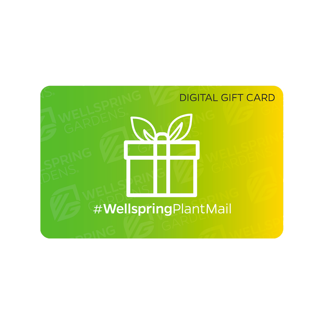 https://wellspringgardens.com/cdn/shop/files/Wellspring_gift_card_final.png?v=1652819900&width=1080