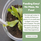A Bloomify Carnivorous Plant Food, 2.5 OZ, pot is being fed with prey-mimicking gel cubes using an included tweezer. Text notes the easy, mess-free cubes mimic real prey for Venus flytraps and come with a tweezer for simple feeding.