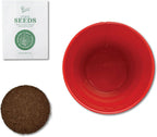 Christmas Tree Grow Kit | Growing medium + Pail + Spruce seed packet