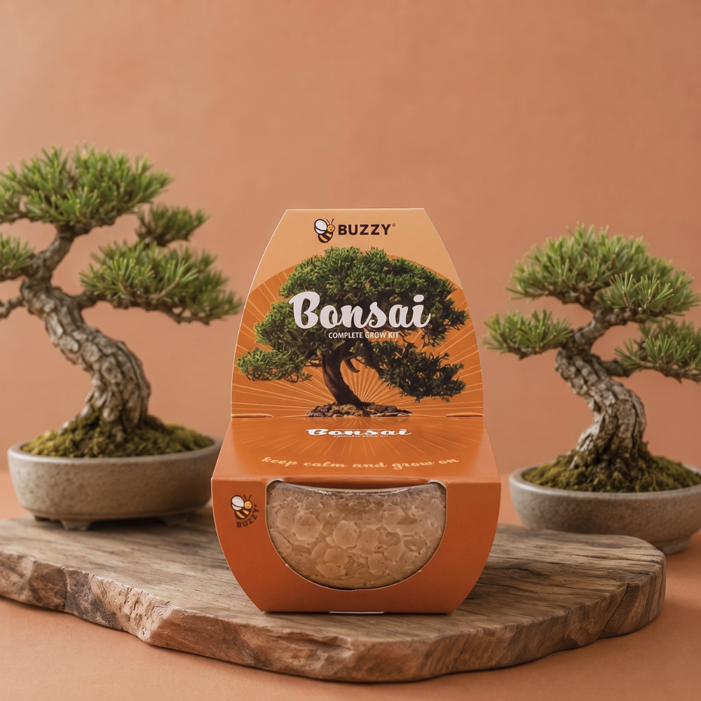 Bonsai Tree Grow Kit | Pot + Growing medium + Seeds