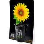 Green is the New Black Sunflower Grow Kit | Painted pot + Growing medium + Seeds