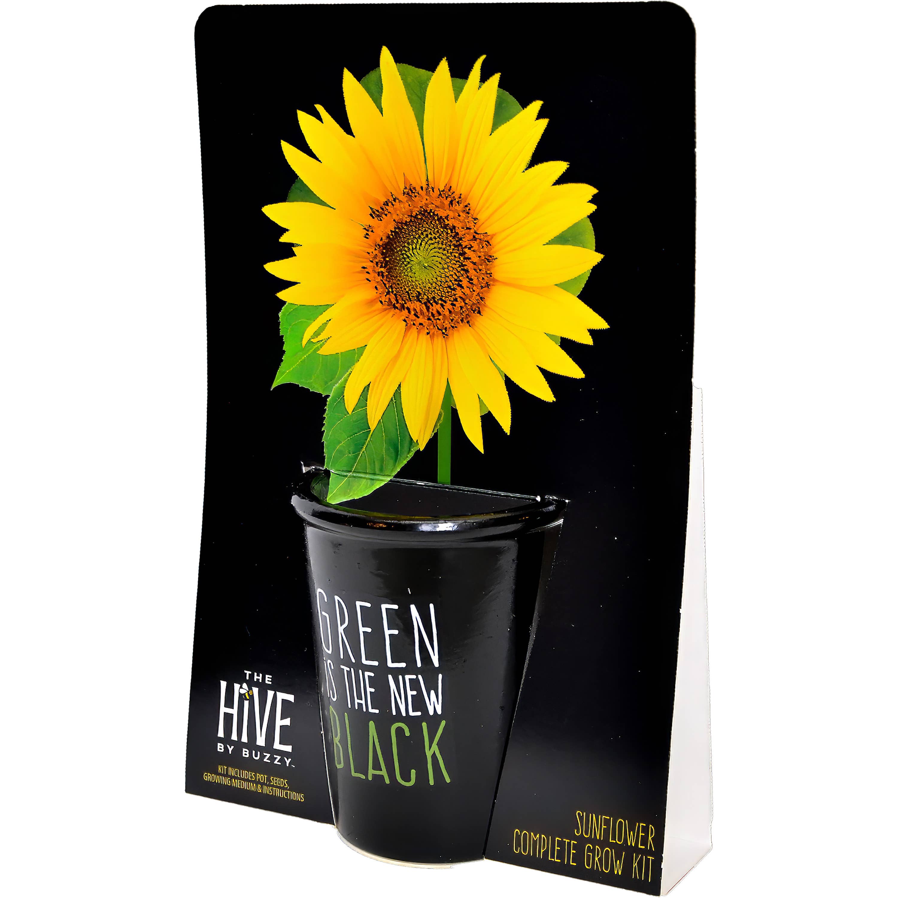 Green is the New Black Sunflower Grow Kit | Painted pot + Growing medium + Seeds