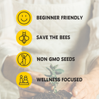 Cat Nip Grow Kit | Pot + Growing medium + Seeds
