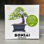 Bonsai Spruce Grow Kit | Planter + Growing medium + Seeds