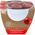 Indoor Growing Kit | Tomato, Basil or Sunflower | Ceramic pot + Growing medium + Seeds