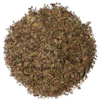 Light Roast Yaupon Tea Bags (16) - Lost Pines Yaupon
