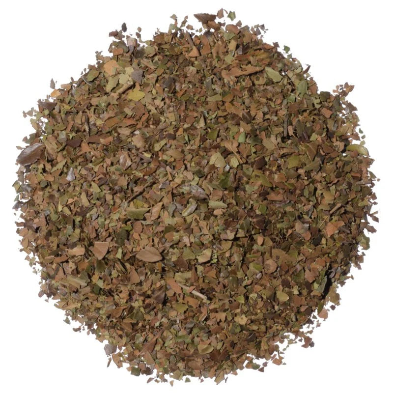 Light Roast Yaupon Tea Bags (16) - Lost Pines Yaupon