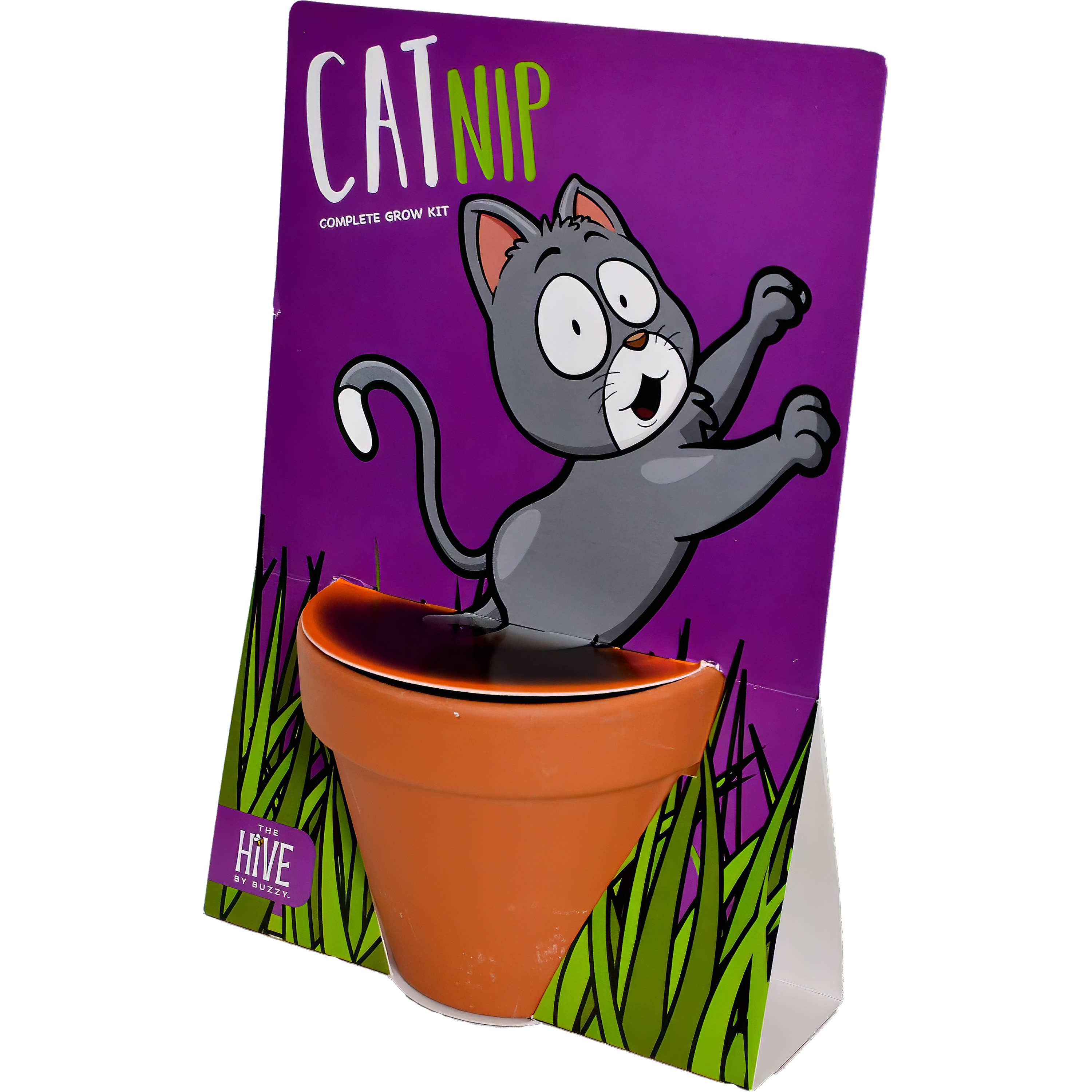 Cat Nip Grow Kit | Pot + Growing medium + Seeds