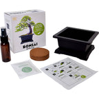 Bonsai Spruce Grow Kit | Planter + Growing medium + Seeds