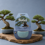 Bonsai Tree Grow Kit | Pot + Growing medium + Seeds