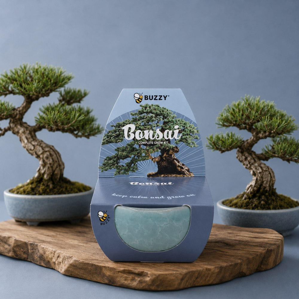 Bonsai Tree Grow Kit | Pot + Growing medium + Seeds
