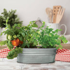 Taco Night Grow Kit | Planter + Growing medium + Tomato & Cilantro seeds