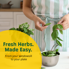 Taco Night Grow Kit | Planter + Growing medium + Tomato & Cilantro seeds