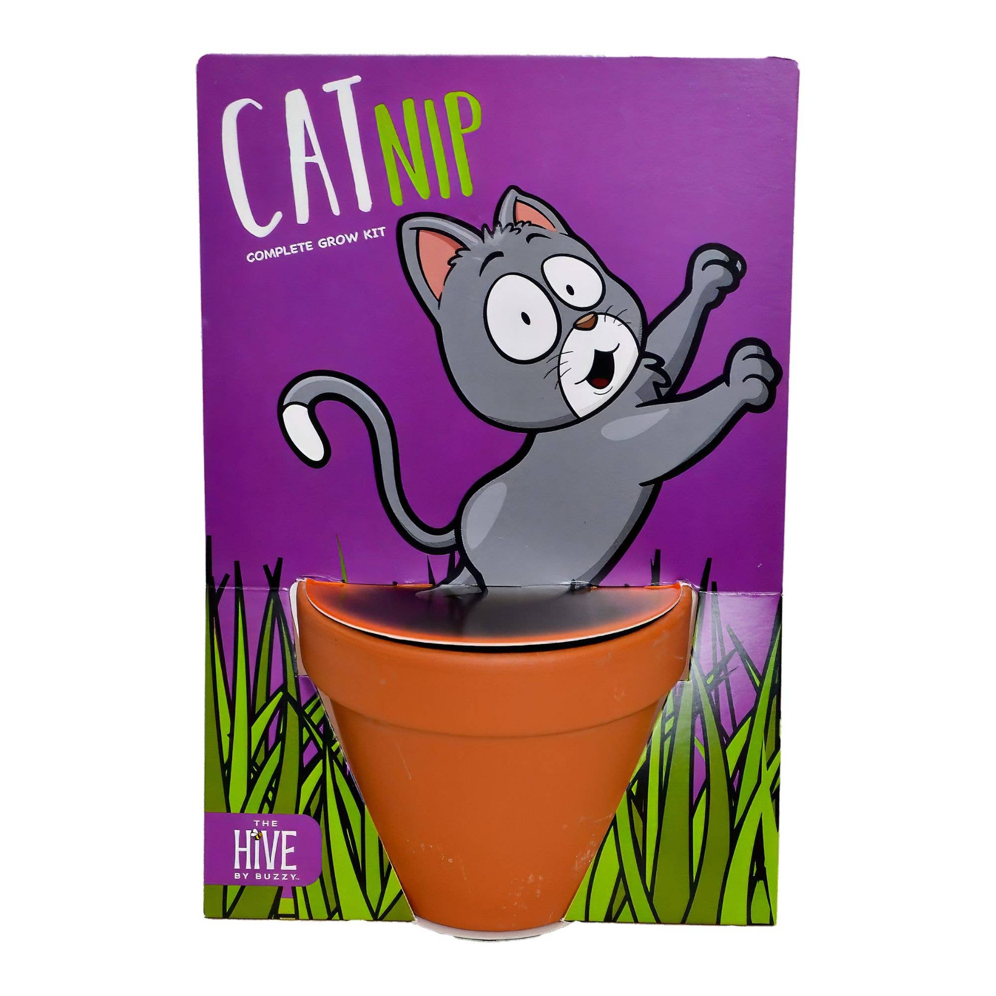 Cat Nip Grow Kit | Pot + Growing medium + Seeds