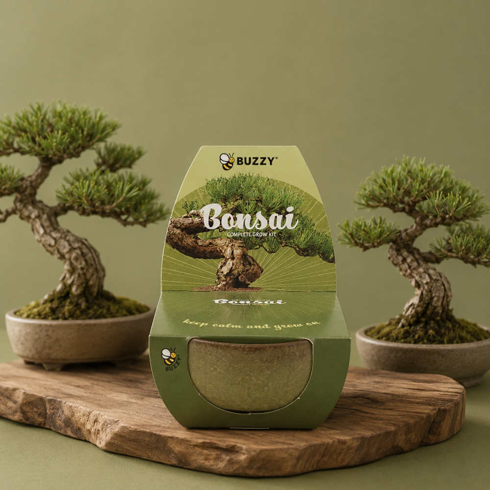 Bonsai Tree Grow Kit | Pot + Growing medium + Seeds