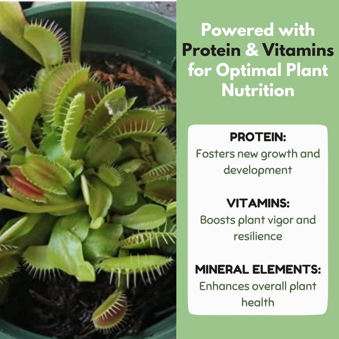 Carnivorous Plant Food, 2.5 OZ – Wellspring Gardens Carnivorous Plant Food, 2.5 OZ – Wellspring Gardens