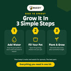 Daisy Soda Can Grow Kit | Planter + Growing medium + Seeds