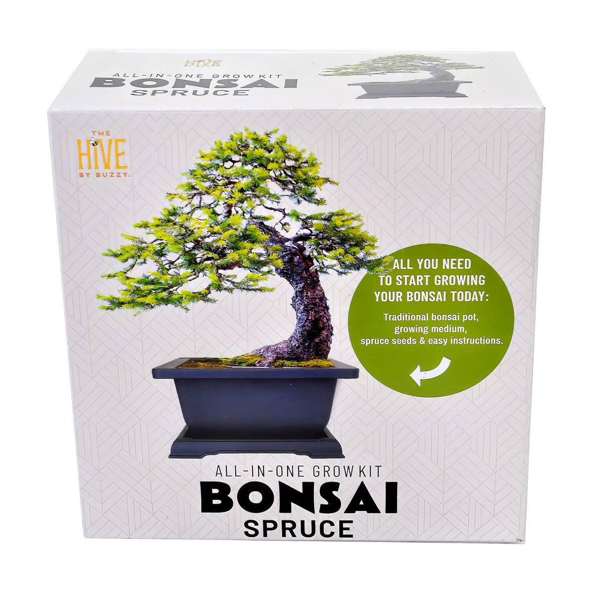 Bonsai Spruce Grow Kit | Planter + Growing medium + Seeds