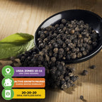 A Wellspring Gardens Black Pepper (Piper nigrum) bowl rests on wood beside a green leaf. Three info boxes outline growing tips for this tropical vine: USDA zones, growth pauses, and fertilizer ratio.