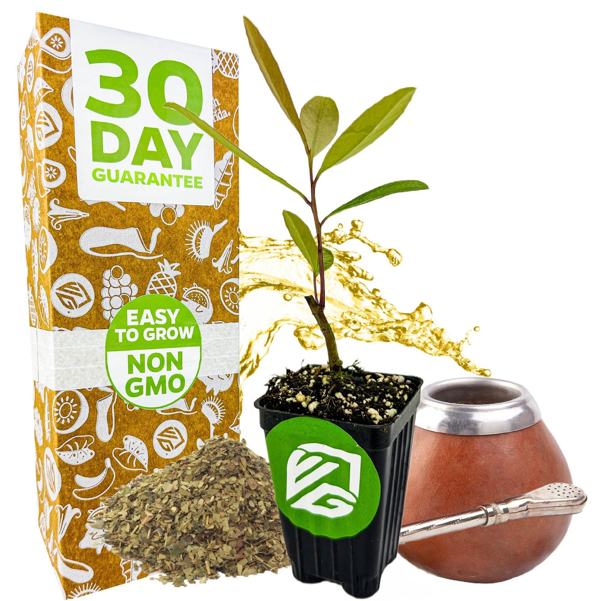 Yerba Mate