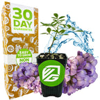 Eve's Necklace Tree (Texas Sophora) by Wellspring Gardens sits in a black pot before a gold box labeled "30 Day Guarantee" and "Easy to Grow." Purple flowers and water accents highlight this ideal native plant for your garden.
