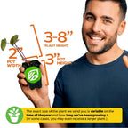 A smiling man holds a Wellspring Gardens Black Sapphire Gecko Elephant Ear (Colocasia) with dark leaves. Plant height: 3–8", pot size: 2" wide x 3" tall. Size may vary by season and growth duration.