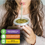 A woman in a pink sweater enjoys Wellspring Gardens' Yerba Mate (Ilex paraguariensis) tea from a gourd. Three info boxes highlight USDA Zones 9-11, winter dormancy, and a 1-1-1 fertilizer ratio for this South American plant.