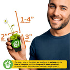 A smiling man holds a Wellspring Gardens Spoonleaf Sundew Carnivorous (Drosera spathulata): plant height 1–4", pot height 3", pot width 2". Note: size varies by season and growth time.