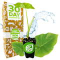 A Thailand Giant Elephant Ear (Colocasia gigantea) plant from Wellspring Gardens is pictured with large leaves in front of a box labeled "30 Day Guarantee" and "Easy to Grow, Non-GMO," surrounded by water splashes and leaves.