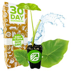 A Thailand Giant Elephant Ear (Colocasia gigantea) plant from Wellspring Gardens is pictured with large leaves in front of a box labeled "30 Day Guarantee" and "Easy to Grow, Non-GMO," surrounded by water splashes and leaves.