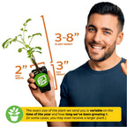 A smiling man holds a Wellspring Gardens Florida Select Native Elderberry (Sambucus canadensis), sized 3–8" tall, 2" wide in a 3" pot. Note: growth may vary by season and time at nursery.