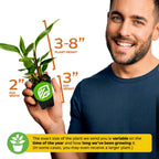 A smiling man holds a Wellspring Gardens Hot Pink Ginger - Alpinia purpurata, shown in a 2" wide x 3" high pot with the plant 3–8" tall. Note: Plant size varies by season and growth time.