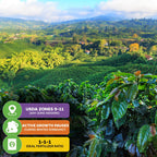 Enjoy a lush green hillside view with the Coffee Plant - Coffea arabica by Wellspring Gardens. Icons show USDA zones 9-11, winter dormancy, and a 1-1-1 fertilizer ratio—everything you need to grow your own coffee at home.